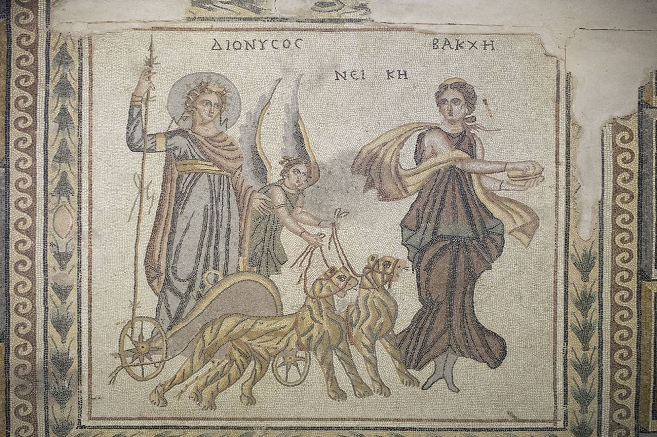 zeugma mozaik müzesi, sergilenen mozaikler