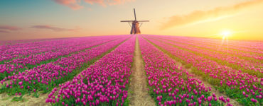 tourist-attractions-in-netherlands- (1)