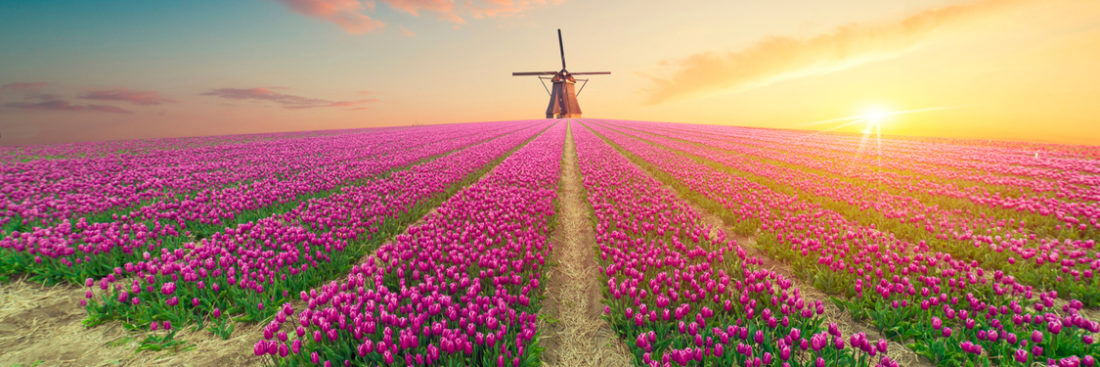 tourist-attractions-in-netherlands- (1)