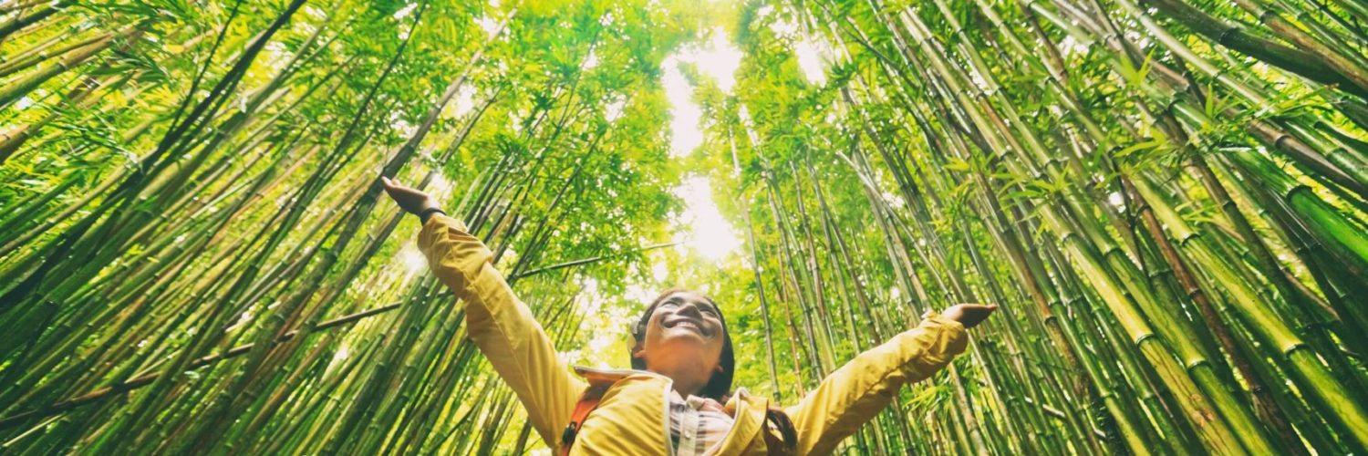 sustainable-travel-1