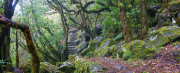 Hiking-Trails-and-Routes-in-Europe-7 (1)