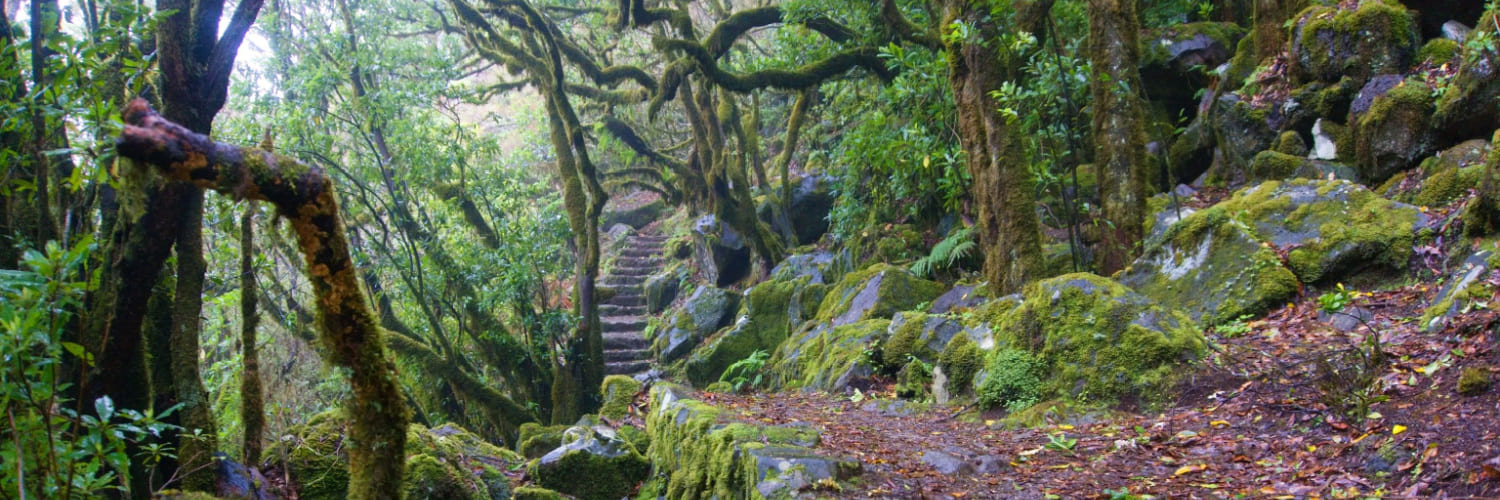 Hiking-Trails-and-Routes-in-Europe-7 (1)